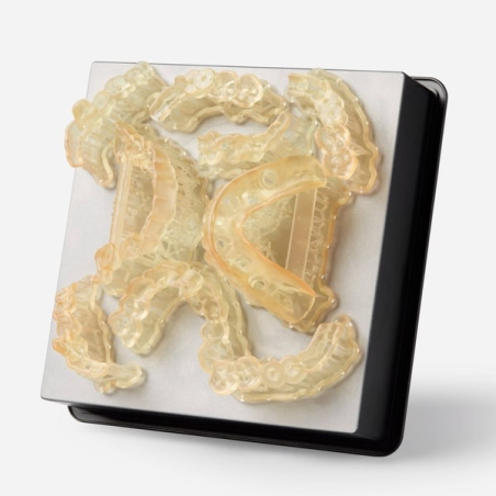 Résine Formlabs Surgical Guide V1 1L - Plateau avec guides chirurgicaux Résine Formlabs Surgical Guide V1 1L - Plateau avec guides chirurgicaux