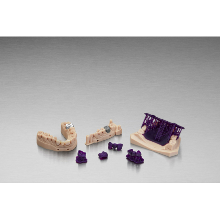 Modèle dentaire et résine castable Modèle dentaire et résine castable
