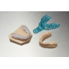 Mix dental model Formlabs avec porte empreinte et gouttière de bruxisme Mix dental model Formlabs avec porte empreinte et gouttière de bruxisme