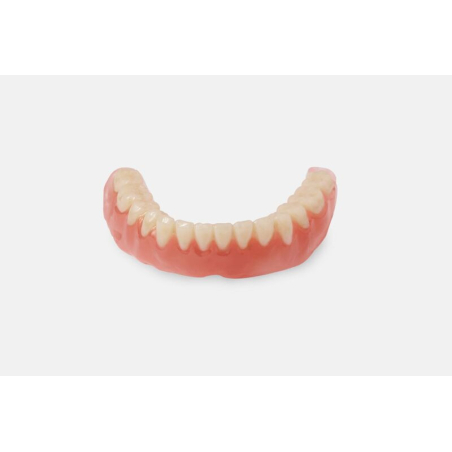 Denture teeth Formlabs bas