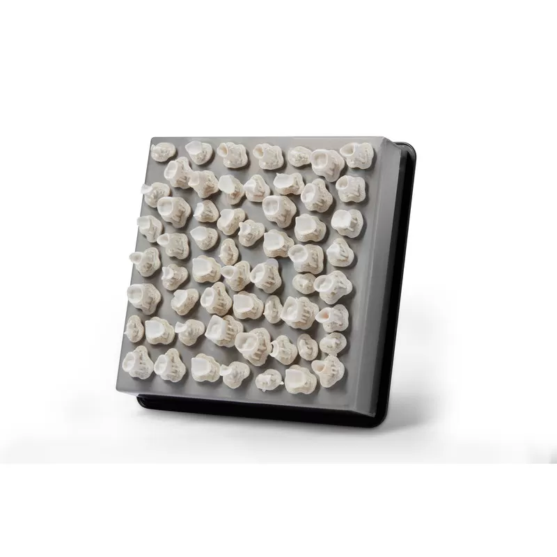 Plateau couronnes unitaires Formlabs Plateau couronnes unitaires Formlabs