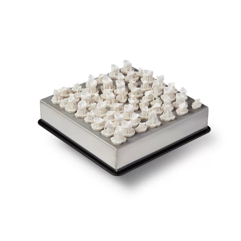 Plateau couronnes unitaires Formlabs à plat Plateau couronnes unitaires Formlabs à plat