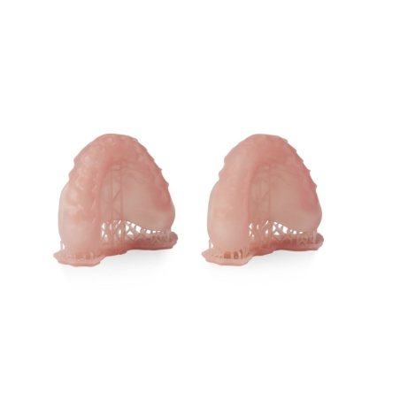 2 bases dentaires Formlabs 2 bases dentaires Formlabs