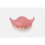 Denture teeth Formlabs Denture teeth Formlabs