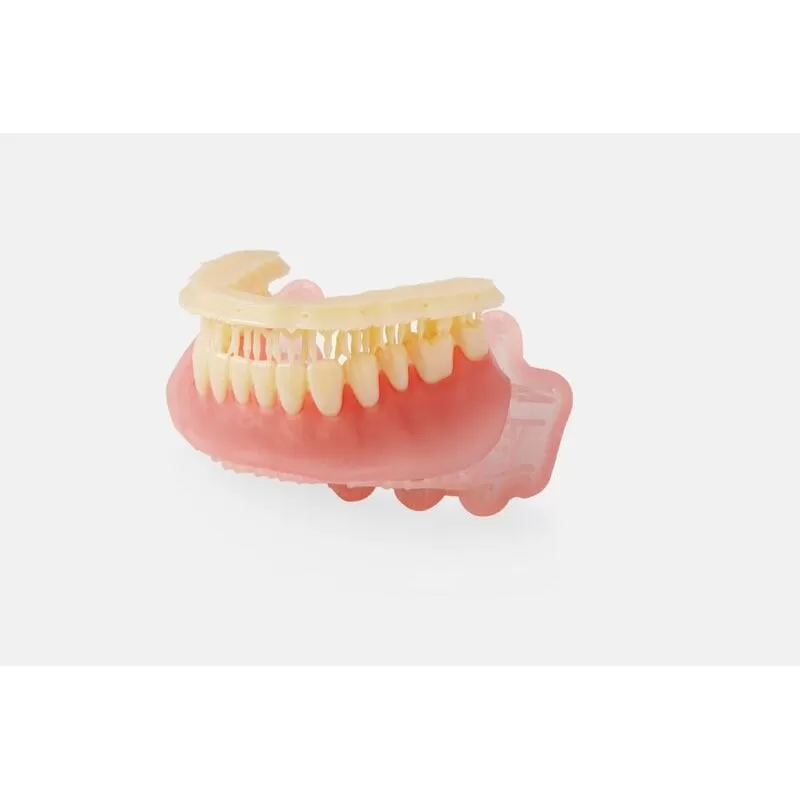 Denture teeth Formlabs avec support Denture teeth Formlabs avec support