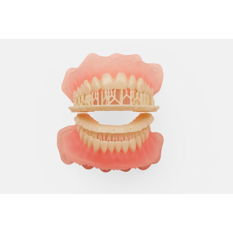 Denture teeth Formlabs avec supports haut et bas