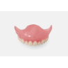 Denture teeth Formlabs Denture teeth Formlabs
