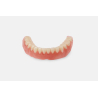 Denture teeth Formlabs bas Denture teeth Formlabs bas