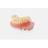 Denture teeth Formlabs avec support Denture teeth Formlabs avec support