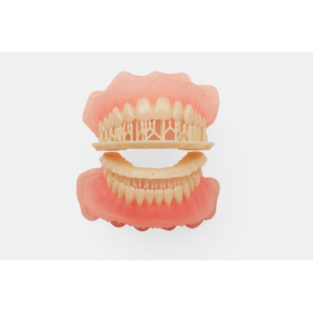 Denture teeth Formlabs avec supports haut et bas Denture teeth Formlabs avec supports haut et bas