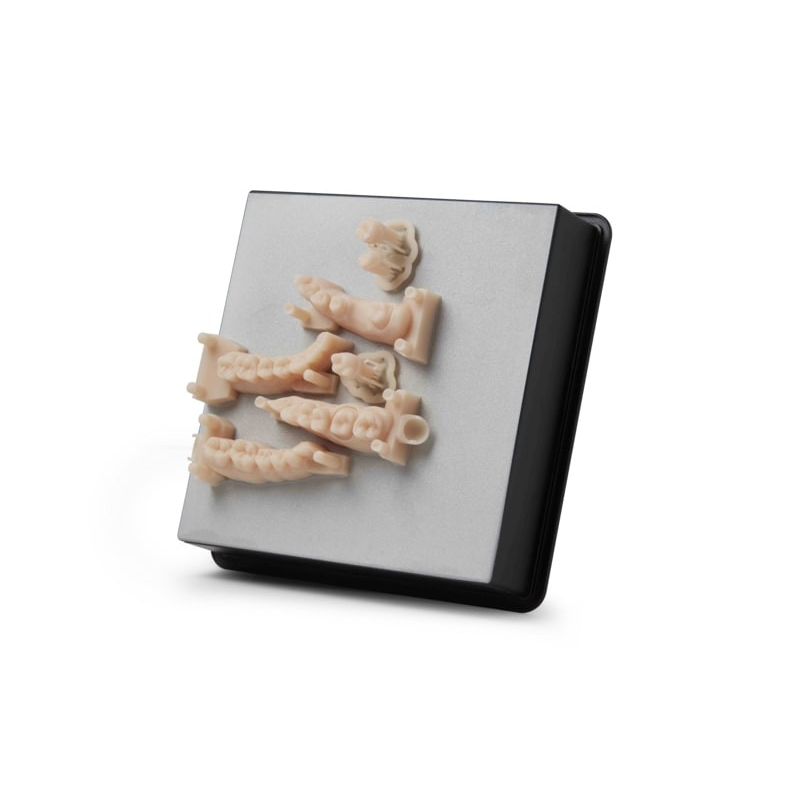 Résine Formlabs Dental Model V3 1L Polyfab3D