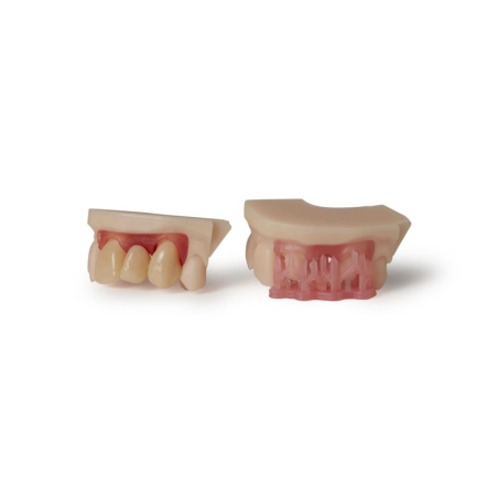 Résine Formlabs Dental Model V3 1L