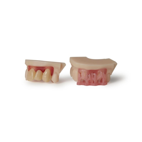 Résine Formlabs Dental Model V3 1L Résine Formlabs Dental Model V3 1L
