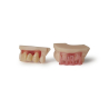 Résine Formlabs Dental Model V3 1L Résine Formlabs Dental Model V3 1L
