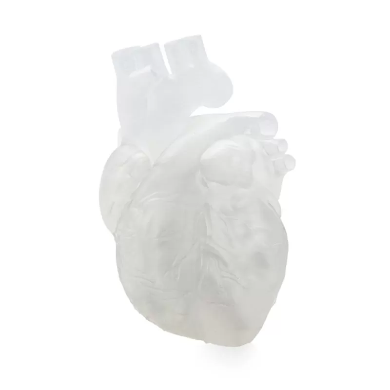 Résine Formlabs Elastic 50A 1L Résine Formlabs Elastic 50A 1L