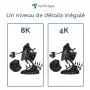 Détails résine 8K Noire Forshape Premium - 1Kg Détails résine 8K Noire Forshape Premium - 1Kg