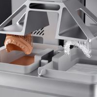 Anycubic Photon P1 dual material