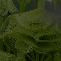 Anycubic Photon P1 précision couche