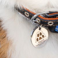 Gravure haute résolution et découpe du H2C Combo