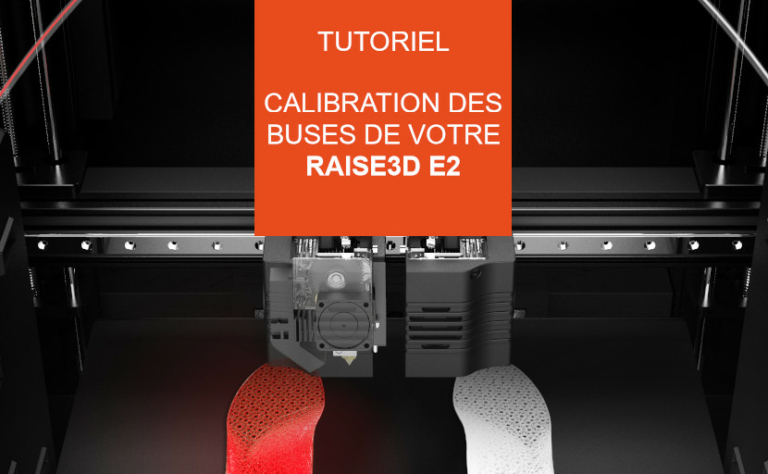 calibration raise3d e2 buses